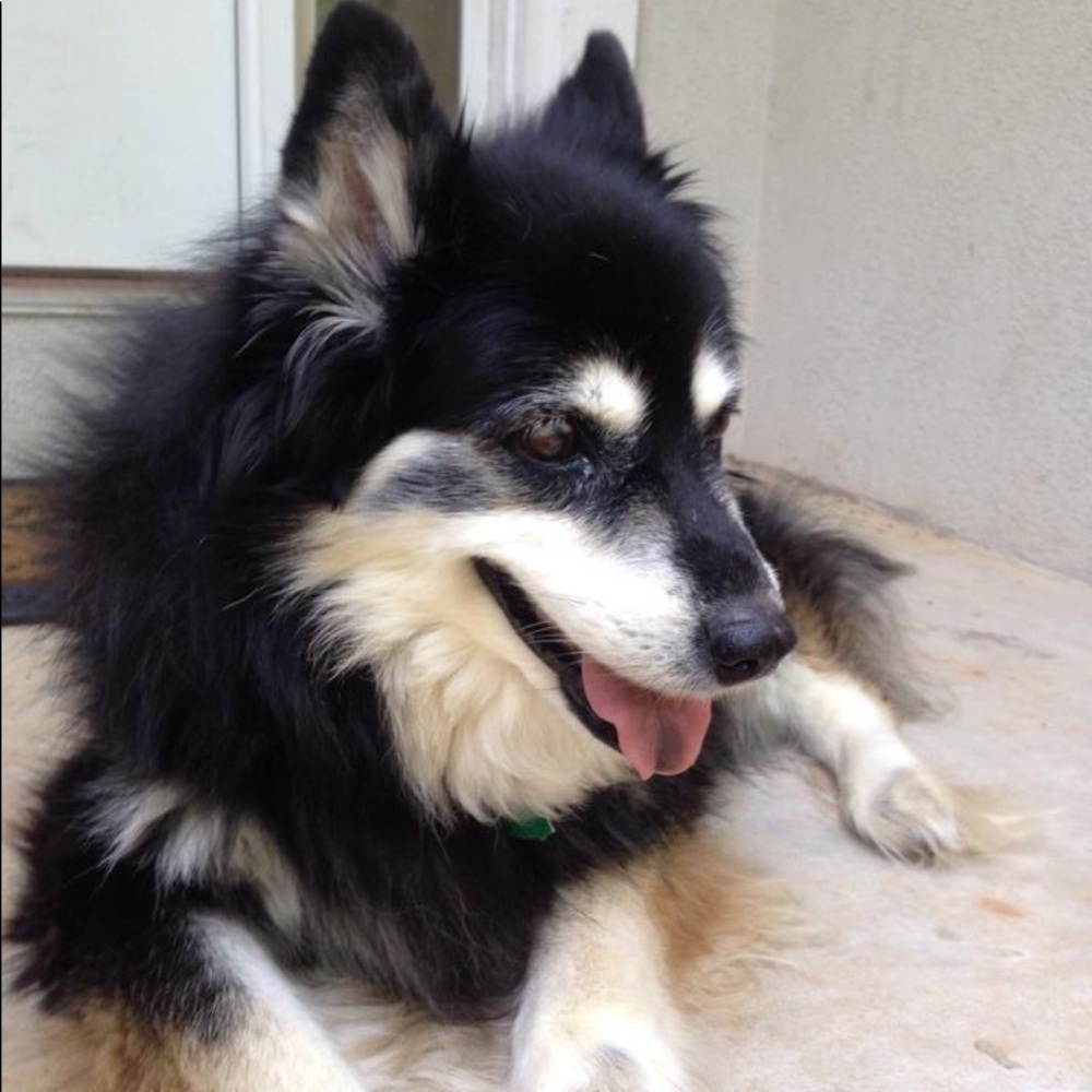 Meet your Posher, Tina